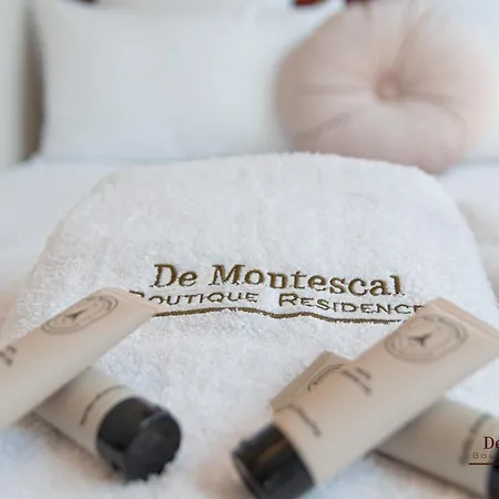 Appartement De Montescal - Hot Tub And Ac Cosy A Prime Location 40m2
