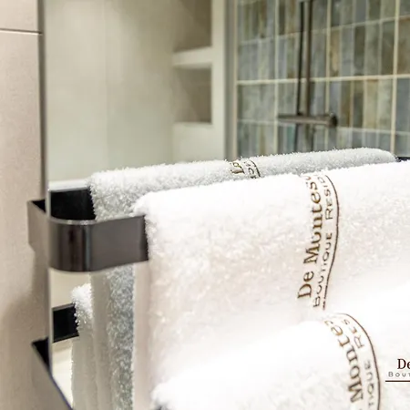 De Montescal Hot Tub Ac Wonder Appartement *
