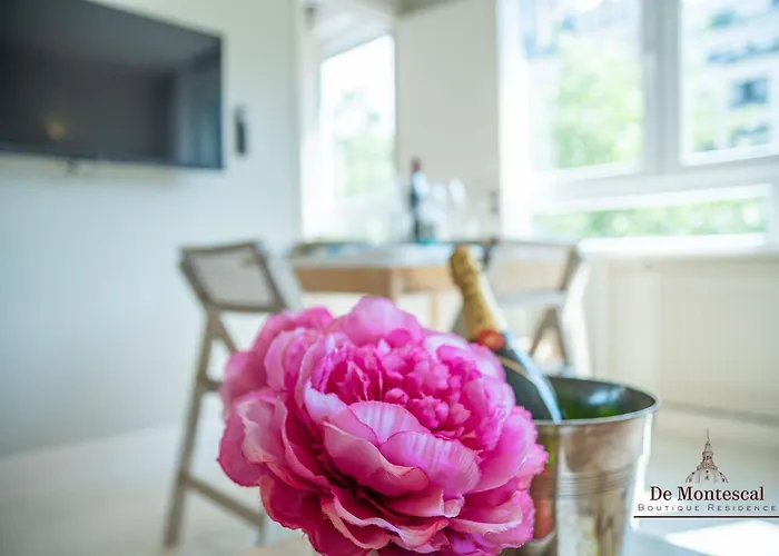 Daire Montparnasse- Hot Tub And Ac Cosy A Prime Location 40m2 Paris